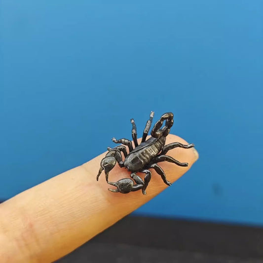 Brass Spider King, Mini Scorpion & Octopus Figurines - Realistic Animal Toy Models | Prank & Scary Decor