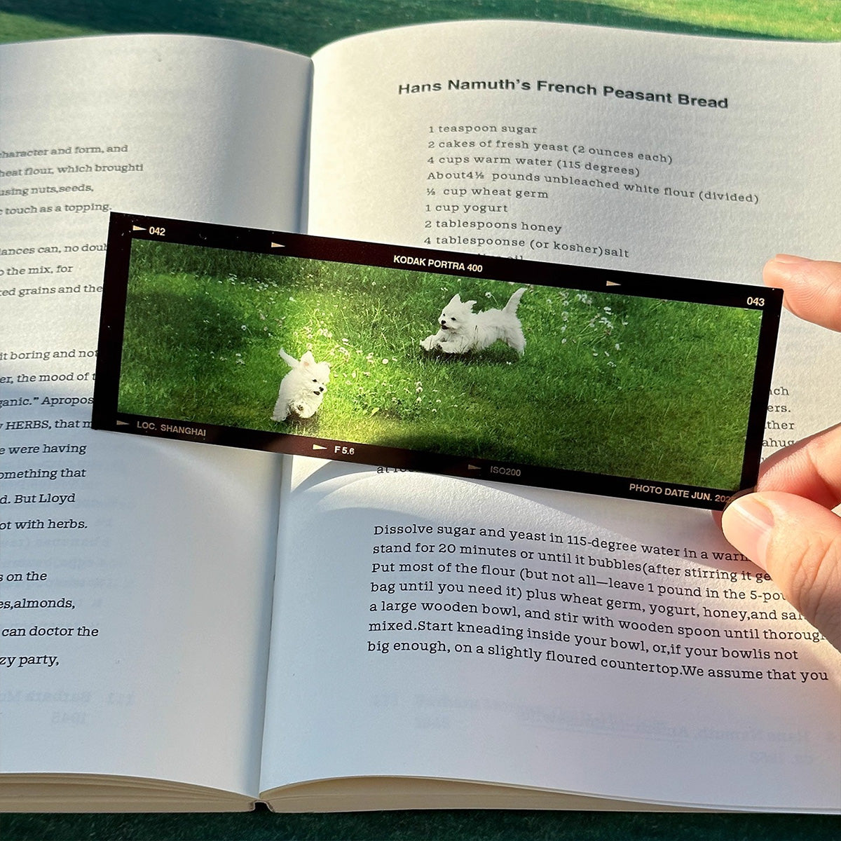 Vintage Film Bookmark Set - Original Handmade Translucent Mountain Sea Retro Literary Niche Gift