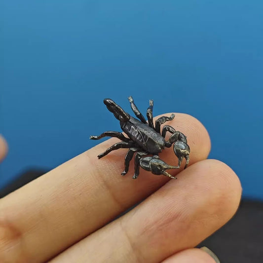 Brass Spider King, Mini Scorpion & Octopus Figurines - Realistic Animal Toy Models | Prank & Scary Decor