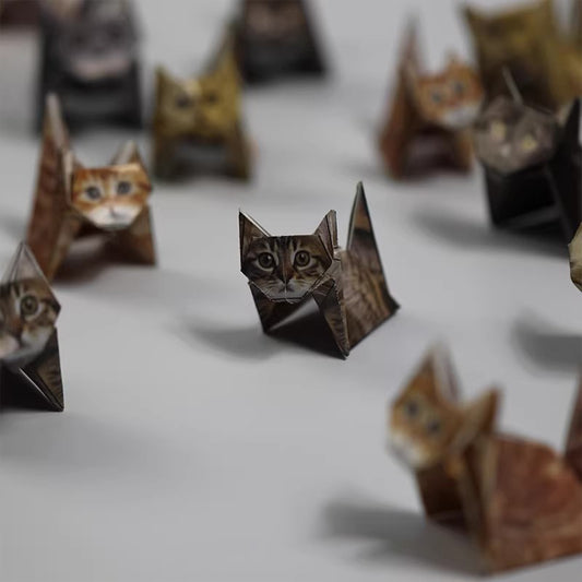 Boredom Buster! Cute Cat Origami Kit - Fold Adorable Kitties in Dull Moments